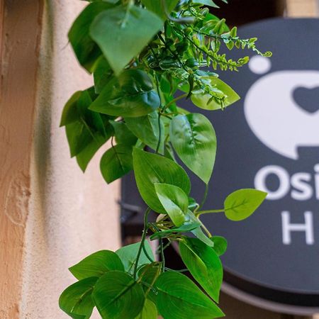 瓦伦西亚Osito Hub - Poeta Duran公寓 外观 照片